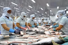 Les États-Unis réduisent les taxes antidumping sur les produits de poisson tra vietnamiens