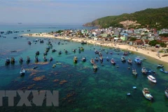Renforcement du développement durable de l'économie maritime du Vietnam