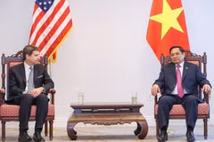 Le PM vietnamien rencontre le directeur général de DFC