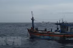 Trois pêcheurs de Binh Dinh à la dérive en mer sauvés