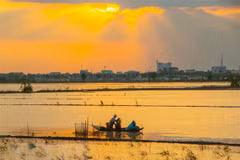 Développement économique dans le delta du Mékong : relancer l'élan 