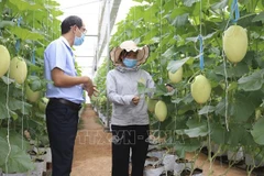 Développer la main-d'oeuvre du secteur agricole, base la plus sûre pour une amélioration de la productivité