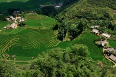 The Travel : Sapa parmi les 10 meilleures destinations enneigées d'Asie