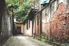 Beauté de l'ancien village de Dông Ngac de 400 ans au cœur de Hanoï