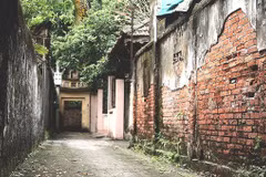 Beauté de l'ancien village de Dông Ngac de 400 ans au cœur de Hanoï