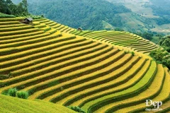 De beaux endroits à ne pas manquer à Mu Cang Chai