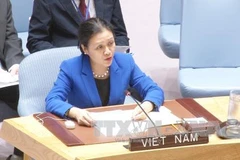Le Vietnam s’exprime sur les océans et le droit de la mer à l’Assemblée générale