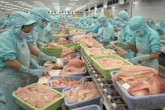 Les fruits de mer vietnamiens cherchent à revoir la vie en vert en UE