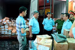 Quatre conteneurs remplis de shisha et de khat découverts à Hai Phong