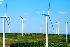 L’Australie publie le rapport d’enquête sur les tours d’éoliennes en provenance du Vietnam