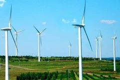 L’Australie publie le rapport d’enquête sur les tours d’éoliennes en provenance du Vietnam