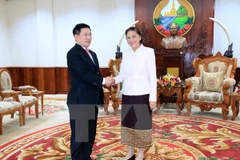 Le Laos tient en haute estime le soutien de l’Audit d'Etat du Vietnam