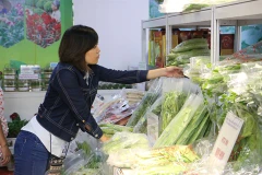 Long An s’oriente vers le développement d’une agriculture durable