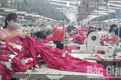 Bac Giang compte générer plus d'emplois