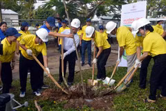 Lancement d'un programme de plantation d'arbres à Soc Trang