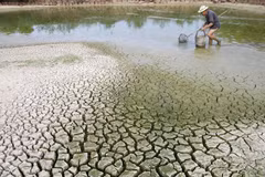 Evaluer la Stratégie nationale sur le changement climatique