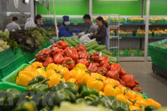 Exportations des fruits et légumes de 1,4 milliard de dollars en cinq mois