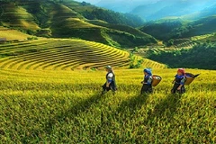 La science et la technologie, base du développement économique des régions montagneuses