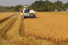 Le secteur agricole en pénurie d’environ 3,2 millions de travailleurs qualifiés en 2020