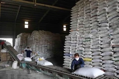 Les prix du riz vietnamien à leur plus haut niveau depuis 2 ans