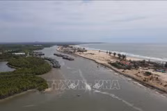 Ba Ria - Vung Tau : application d'une nouvelle technologie pour prévenir l'érosion côtière