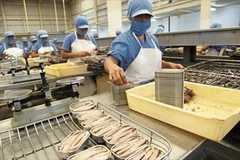 Le thon du Vietnam s’exporte bien vers la France