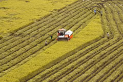 Fondation d’un comité de pilotage du développement agricole du delta du Mékong