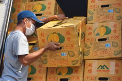 Quand la Chine importe des durians vietnamiens