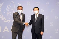 Le président de l'Assemblée nationale Vuong Dinh Hue rencontre le directeur général de l'AIEA