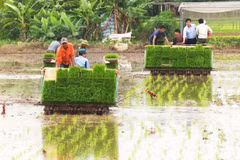 Pour rehausser la valeur des produits agricoles nationaux