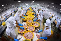 Le Vietnam reste le troisième fournisseur de fruits de mer de la République de Corée