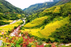 Sapa accueille plus de 77.000 visiteurs durant le Tet 