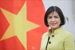 L'OIT apprécie sa coopération avec le Vietnam