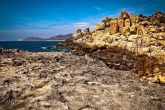 Réserve de biosphère de Nui Chua, un paradis pour les tortues marines