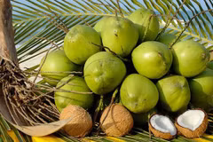 Ben Tre cherche à augmenter ses exportations de produits à base de noix de coco