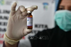 Philippines : le nombre de cas de rougeole à Manille a augmenté de 550%