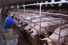 Séminaire sur l’élevage durable dans l’intégration et la garantie de la sécurité épidémique