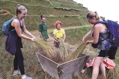 Une Tày ambitieuse pour son projet "Agriculture verte"