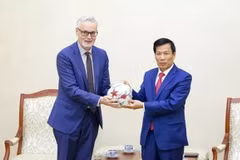 Vietnam-Allemagne : bons résultats de la coopération culturelle, sportive et touristique