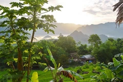 Des destinations touristiques à ne pas manquer à Thanh Hoa