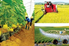 L’agriculture durable au Vietnam: un mouvement qui se développe