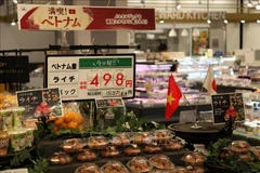 Promouvoir la coopération économique entre la préfecture japonaise de Niigata et le Vietnam