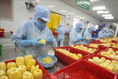 Expansion des débouchés pour les fruits et légumes vietnamiens
