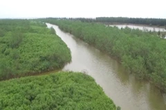 Aide sud-coréenne pour le développement des mangroves à Thai Binh