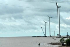 Le Vietnam a de nombreuses potentiels dans le développement de l’énergie éolienne 