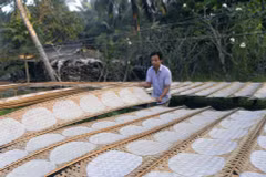 Les bánh populaires, une caractéristique du Sud