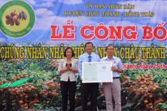 Longane Châu Thành - Dông Thap : une nouvelle appellation d'origine