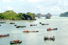 Hai Phong compte devenir un centre touristique de niveau national voire international