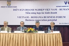 Forum d’entreprises Vietnam-Roumanie à Ho Chi Minh-Ville