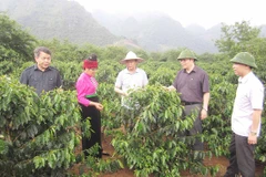 Le 7e Congrès de l’Association des agriculteurs d'Asie pour un développement rural durable